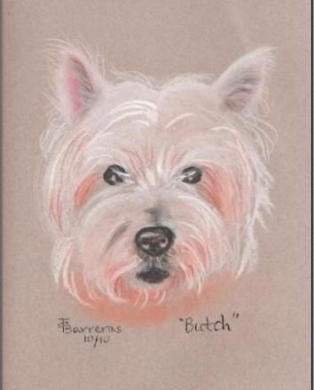 Barreras, Butch pet portrait