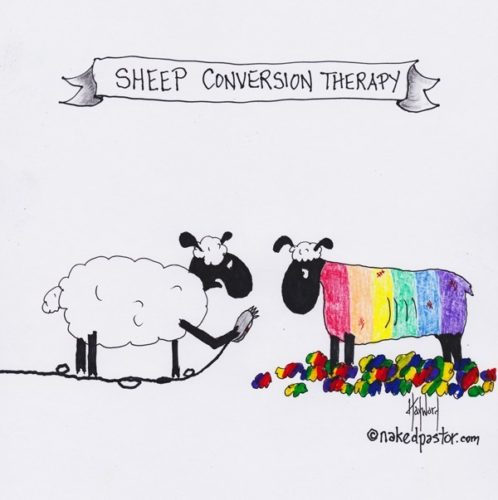 Sheep Conversion Therapy by David Hayward