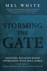 book Storming the Gate