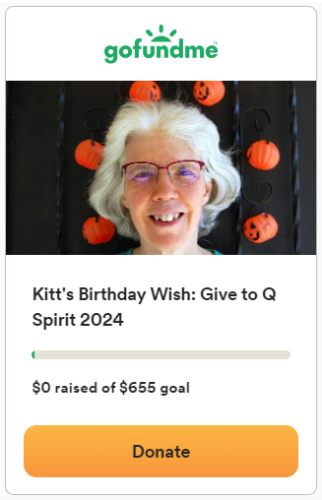 widget birthday 2024 $655 goal