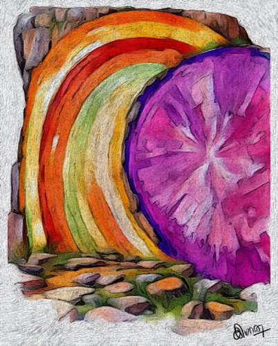 Rainbow Remains by Immanuel Paul Vivekanandh